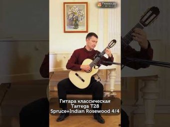Петербургский исполнитель и преподаватель Михаил Кашеутов тестирует классическую гитару Tarrega T28S