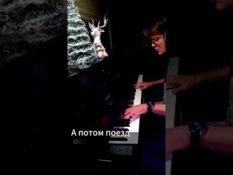 "Поезд жизни". Импровизация на фортепиано. #piano #музыка