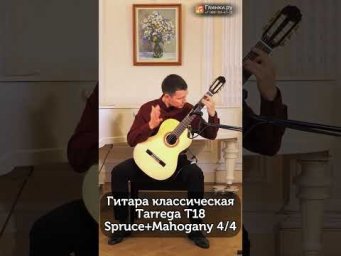 Петербургский исполнитель и преподаватель Михаил Кашеутов тестирует классическую гитару Tarrega T18S